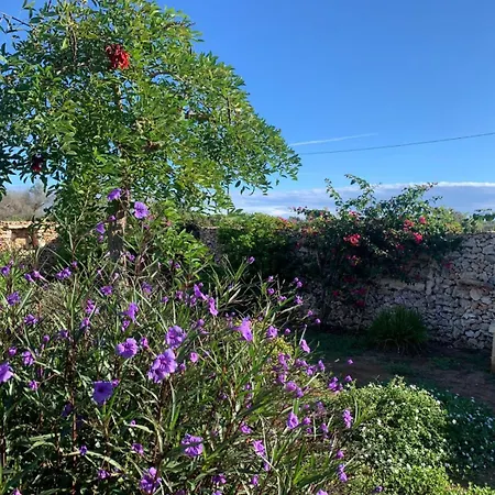 Casa - Mille Fiori Dom wakacyjny *