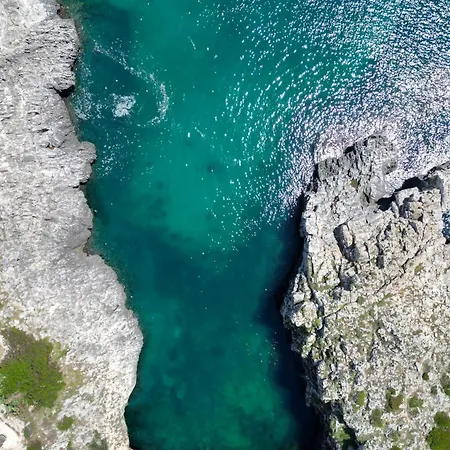 Casa - Mille Fiori *