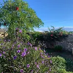 Casa - Mille Fiori Holiday home *
