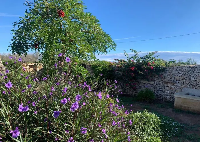 Casa - Mille Fiori Ferienhaus *